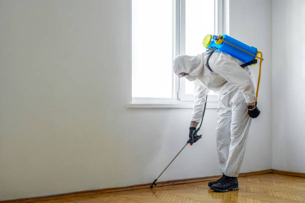 Reliable Fussels Corner, FL Pest Control Solutions